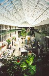 atrium.jpg