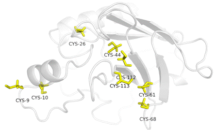 CD160_Cysteines