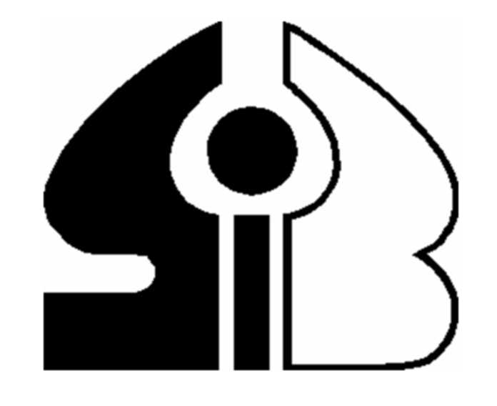 Logo of Scientific Instruments Brno