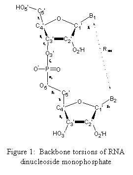 Text Box:  

Figure 1:  Backbone torsions of RNA dinucleoside monophosphate
