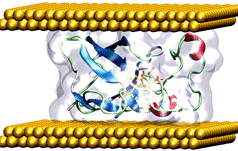 A picture containing indoor, cable, corn, arranged

Description automatically generated