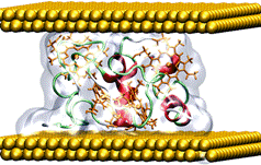 A picture containing corn, cable, several

Description automatically generated