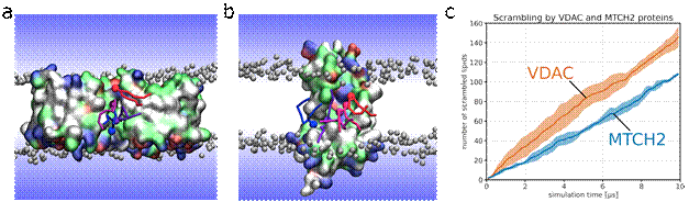 A close-up of a molecule

Description automatically generated