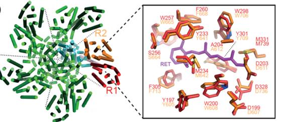 A close-up of a molecule

Description automatically generated