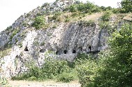 IMG_5949.JPG