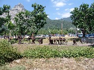 DSC05488.JPG