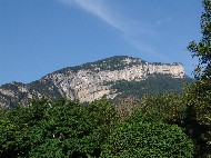 DSC05561.JPG
