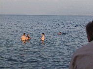 DSC05406.JPG