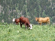 DSC05687.JPG