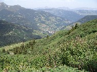 DSC05703.JPG