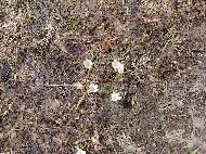 DSC05709.JPG
