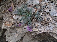 DSC05741.JPG
