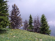 DSC05787.JPG