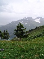 DSC05788.JPG