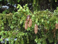 DSC05789.JPG