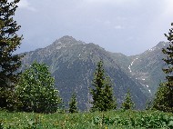 DSC05803.JPG