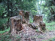 DSC05807.JPG
