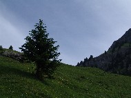 DSC05678.JPG