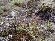 DSC05679.JPG