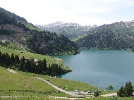 DSC05681.JPG