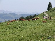 DSC05684.JPG