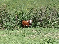 DSC05691.JPG