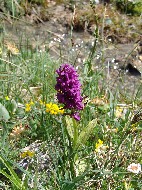 DSC05697.JPG
