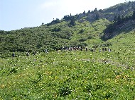 DSC05700.JPG
