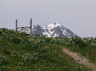DSC05710.JPG
