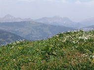 DSC05713.JPG