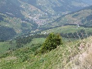 DSC05726.JPG