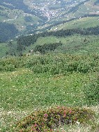 DSC05729.JPG