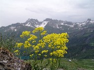 DSC05737.JPG