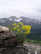 DSC05738.JPG