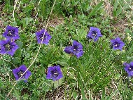 DSC05744.JPG
