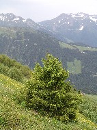 DSC05747.JPG