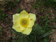 DSC05750.JPG