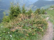 DSC05751.JPG