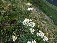 DSC05753.JPG