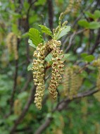 DSC05755.JPG