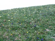 DSC05756.JPG
