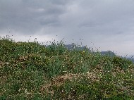 DSC05765.JPG