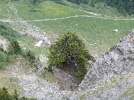 DSC05768.JPG