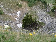 DSC05769.JPG