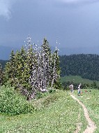 DSC05795.JPG