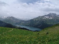 DSC05798.JPG