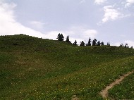 DSC05800.JPG