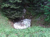 DSC05806.JPG