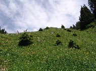 DSC05817.JPG