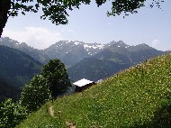 DSC05822.JPG